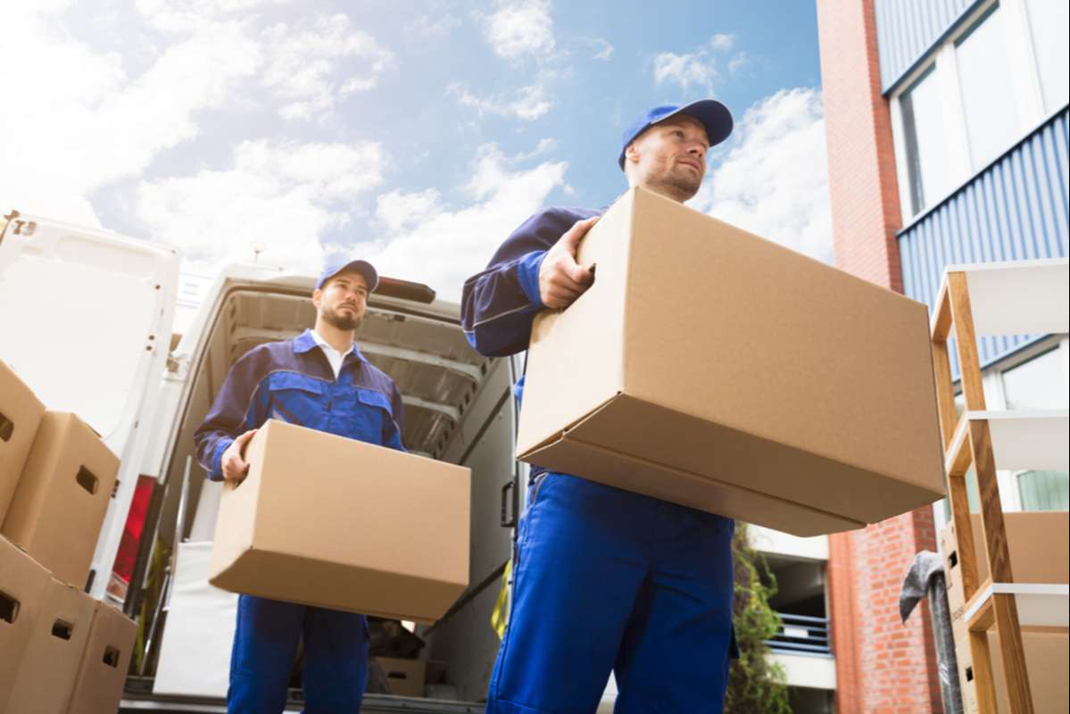 Close-up Of Two Young Delivery Men Carrying Cardboard Box (R) (S)